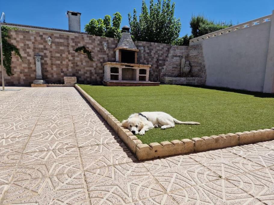 Primera Planta Completa, * El Alamo